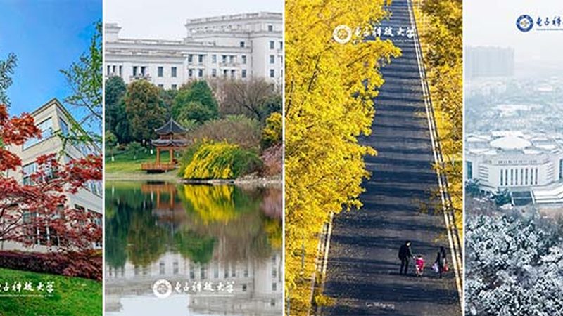 电子代工生产：揭秘流程与关键注意事项**