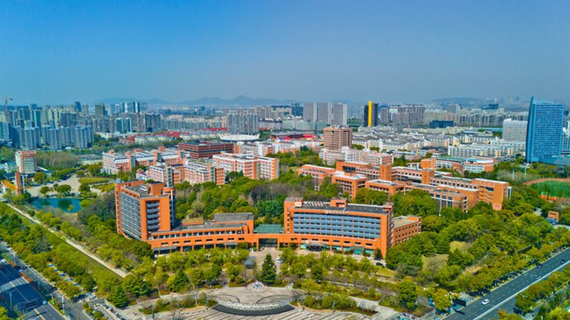 揭秘电子加工代工利润之谜：揭秘背后的盈利模式